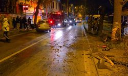 İstanbul- Beykoz'da otomobil kaldırımdaki ağaca çarptı: 2 yaralı