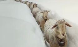 Karabük'te kar kalınlığı 75 santimetreye ulaştı