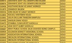 Matematik şampiyonu Lina, Singapur yolcusu