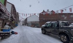 Ordu'nun yüksek kesimlerinde kar yağışı