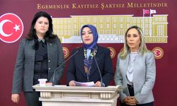 TBMM'deki taciz iddialarının takip edilmesi için komisyonda izlem grubu oluşturuldu