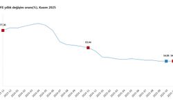 TÜİK: Hizmet üretici fiyatları kasımda azaldı