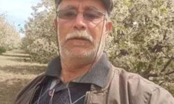 Yangında annesini kurtarmak isterken öldü