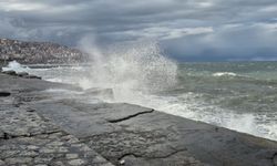 Zonguldak'ta kuvvetli rüzgar; 90 yaşındaki çınar ağacı devrildi