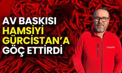 Av Baskısı Hamsiyi Gürcistan’a Göç Ettirdi