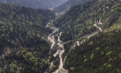 Karadeniz'de yağış değişimi alarmı; orman varlığı gençleştiriliyor