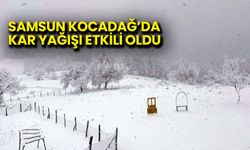 Samsun Kocadağ’da Kar Yağışı Etkili Oldu
