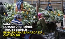 Samsun Lahana Üretiminde Türkiye Birincisi