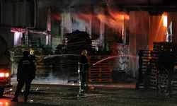 Adana'da parke ve panel üretilen fabrikada yangın