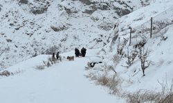 Adıyaman'da 3 ilçede eğitime 1 gün ara verildi