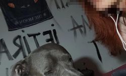 Ankara'da 'evini ateşe verip, yangını izlediği' iddiası