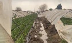 Antalya'da peş peşe hortumlar; seralar yıkıldı, çatılar uçtu (3)