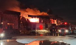 Antalya'da soğuk hava deposunda yangın