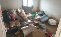 Antalya'da tarım alanlarını su bastı; mahsur kalanlar, iş makinesi ve botlarla kurtarıldı (2)