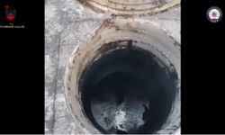 Atık tankerinde özel bölmelerde 32 kaçak göçmen yakalandı; 4 organizatör tutuklandı