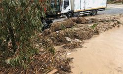 Aydın'da sağanak etkili oldu / Ek fotoğraflar