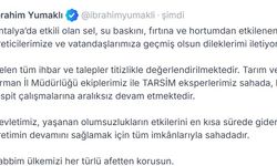 Bakan Yumaklı: Antalya'da sel ve fırtına sonrası hasat tespit çalışmaları sürüyor