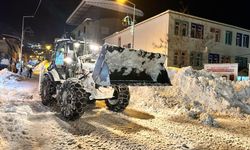 Beytüşşebap'ta çatılardan düşen tonlarca kar kamyonlarla taşınıyor