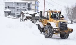 Bitlis'te 139 köy yolu ulaşıma açıldı