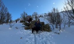 Bitlis'te besiciler, karda kızakla hayvanlarına ot taşıyor