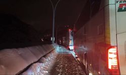 Bitlis'te seyir halindeki yakıt tankeri üzerine çığ düştü; sürücü sağ kurtarıldı (3)