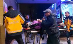 Bursa'da minibüsünün çarptığı anne ile kızı yaralandı