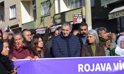 DEM Parti Eş Genel Başkanı Bakırhan, Nusaybin'de yürüyüşe katıldı