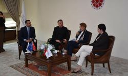 'DİMGİ, Türkiye'de benzeri yapılmamış bir proje'