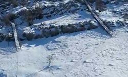 Diş hekimi tırmandığı dağdan snowboard yaparak indi