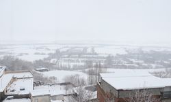 Diyarbakır'a kar yağdı; tarihi mekanlar da beyaza büründü