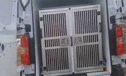 Diyarbakır'da 2 çocuk annesi zihinsel engelli kadından haber yok