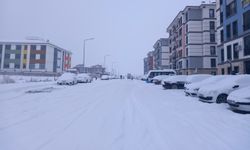 Diyarbakır'da kar yağışı; bazı uçak seferleri iptal edildi