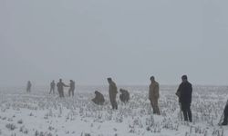 Diyarbakır'da kayıp kadını 410 kişilik ekip arıyor