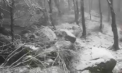 Erdek ilçesinde kar yağışı etkili oldu