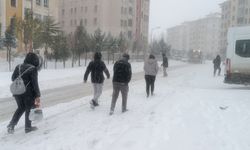 Gaziantep'te bazı kamu kurum ve kurslara kar tatili