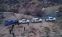 Giresun'un dağlarındaki yaban keçileri mercek altında