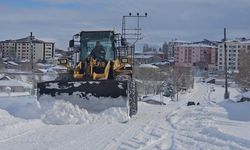Göle'de kar kalınlığı 80 santimetreyi buldu