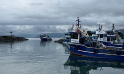 'Karadeniz'de yoğun av baskısı sonucu hamsi Gürcistan'a göç etti'