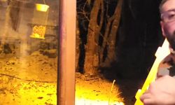 Kartepe'de yiyecek arayan tilkiyi, eliyle besledi