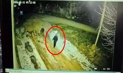 Kayıp kadını arama çalışmalarında 70 kilometrelik alan tarandı