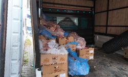 Kocaeli'de ruhsatsız tavuk eti parçalama tesisi mühürlendi