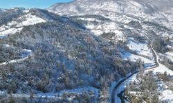 Küre Dağları Milli Parkı'ndan kar manzarası