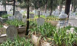 Mezarlıkta, poşette gömülü halde cenin bulundu
