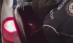 Otomobillerin bagajında 2 kaçak göçmen yakalandı