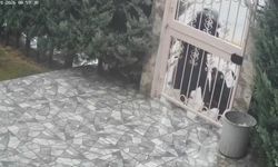 Sahipsiz köpeklerin saldırdığı kadını komşusu kurtardı