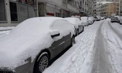 Siirt'te tüm köy yolları kardan kapandı