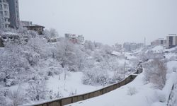 Şırnak'ta kardan 35 köy yolu kapandı, uçuşlar iptal edildi