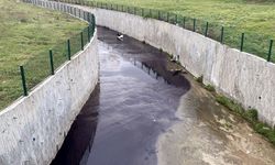 Tekirdağ'da Karaağaç Deresi siyah renkte akmaya başladı