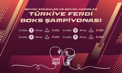 Türkiye Ferdi Boks Şampiyonası, Kocaeli'de gerçekleştirilecek