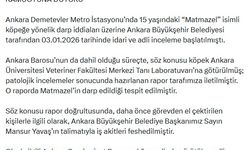 Veterinerlik fakültesi raporunda, 'Matmazel' isimli köpeğin darbedildiği tespit edildi